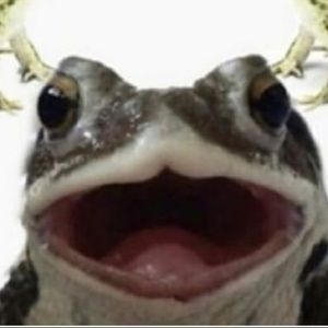 Meet your Posher, Fa